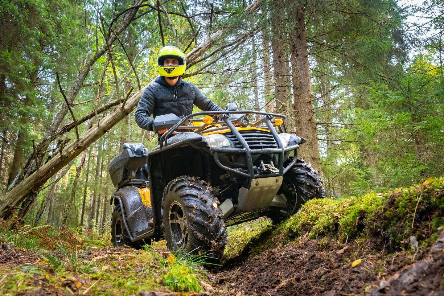 A person on a quad bike in a forest