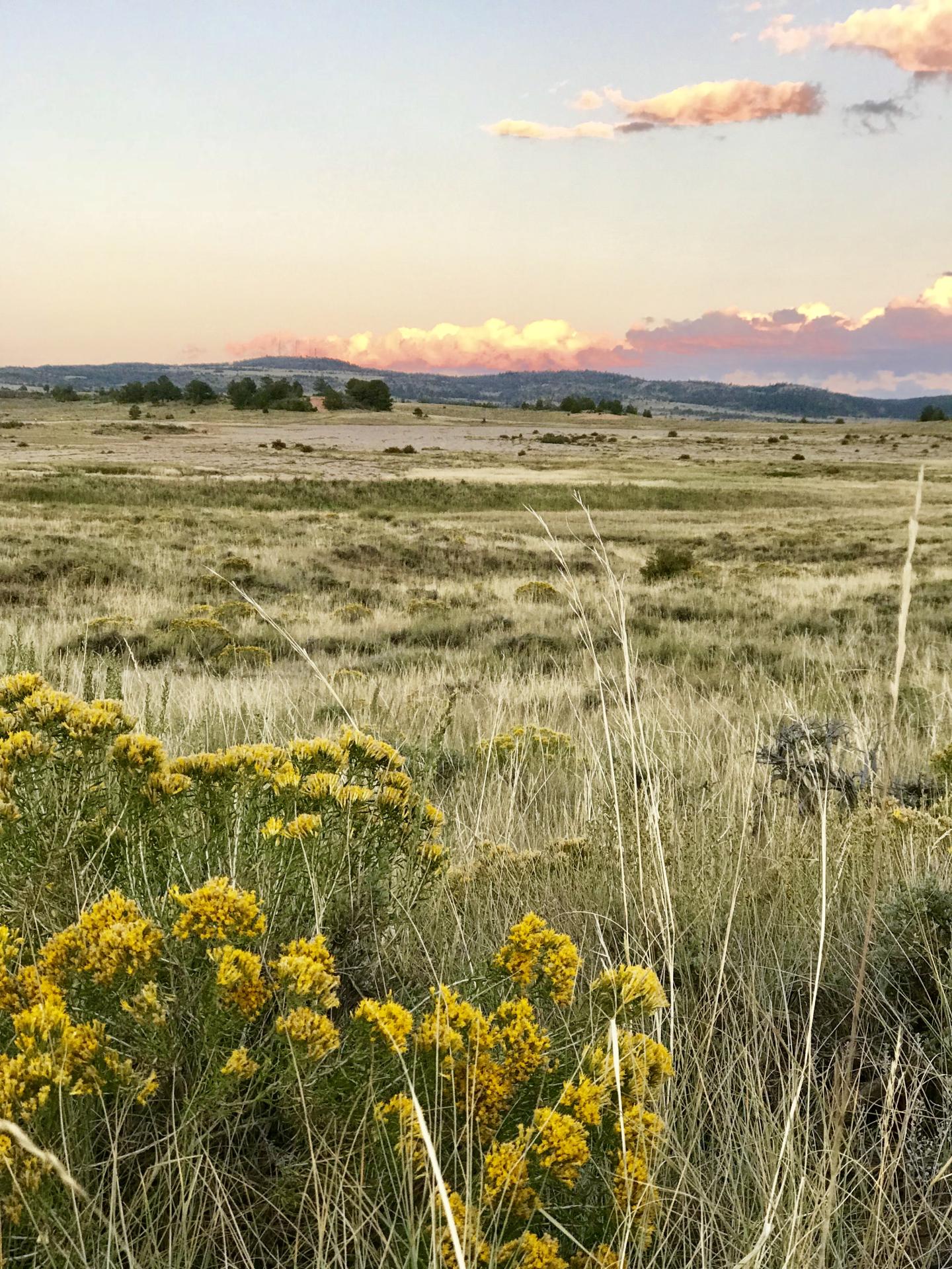 An open landscape at sunset