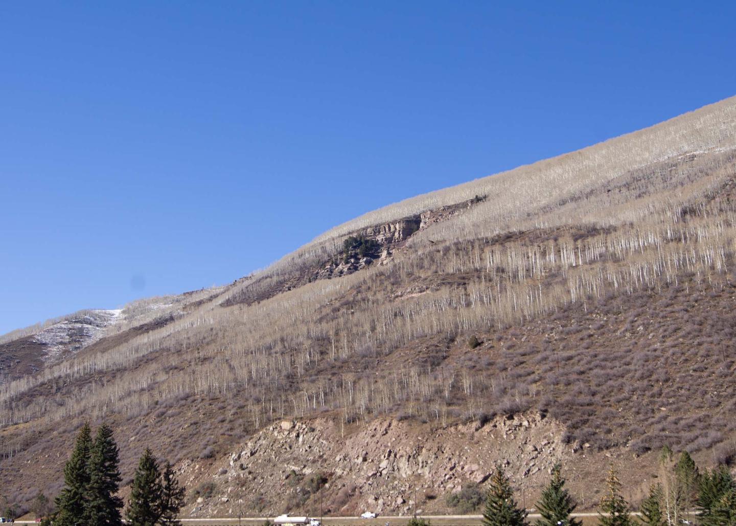 View of Booth Creek